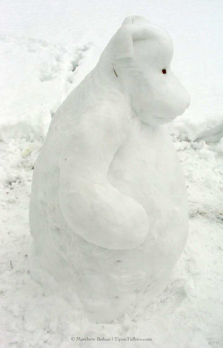 Snow Bear (Side View) Snow Bear (Side View)