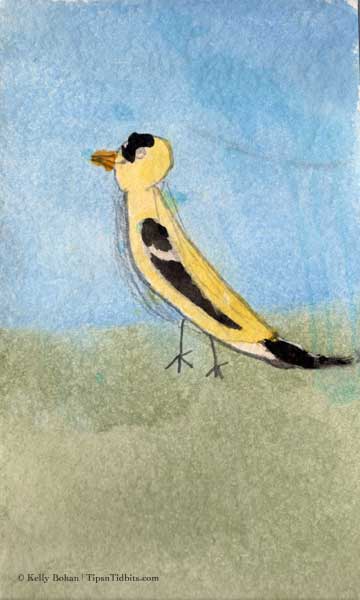 Kelly’s “Goldfinch” (7/09) Kelly’s “Goldfinch” (7/09)